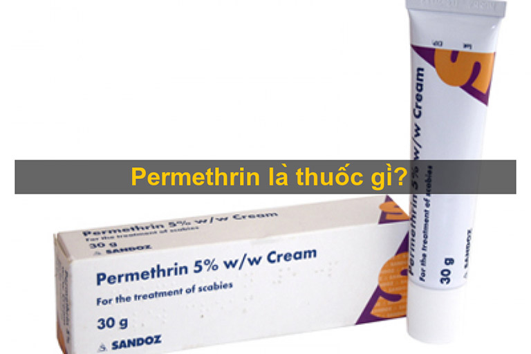 Cách dùng thuốc Permethrin như thế nào an toàn?