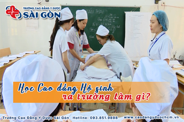 học cao đẳng hộ sinh ra l&agrave;m g&igrave;