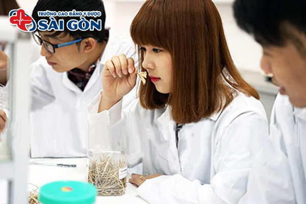 Đối tượng x&eacute;t tuyển Cao đẳng Dược 2026 th&iacute; sinh cần biết