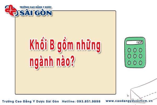 Khối b gồm ng&agrave;nh n&agrave;o