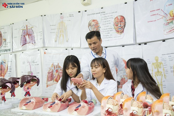 Tìm hiểu chương trình đào tạo cao đẳng dược chính quy 