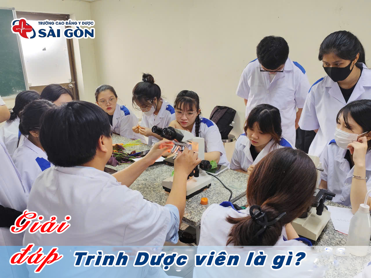 Trình dược viên là gì? Kỹ năng cần thiết để giỏi nghề?