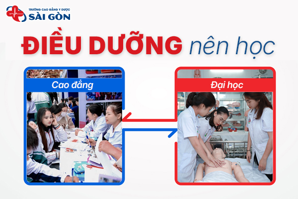 Điều dưỡng nên học Cao đẳng hay Đại học tốt hơn?