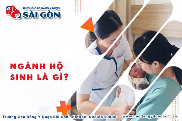 Ngành hộ sinh là gì? Tố chất cần có cùng cơ hội việc làm?