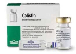 Colistin - Tác dụng & Liều dùng thuốc an toàn 1