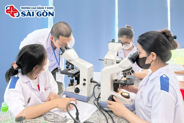 Top c&aacute;c trường đ&agrave;o tạo ng&agrave;nh X&eacute;t nghiệm Y học chất lượng