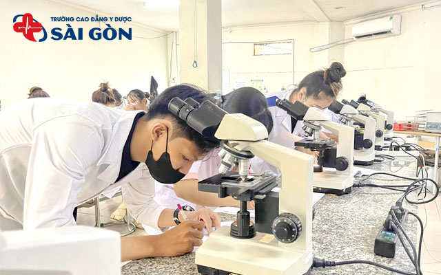 c&aacute;c trường li&ecirc;n th&ocirc;ng cao đẳng x&eacute;t nghiệm