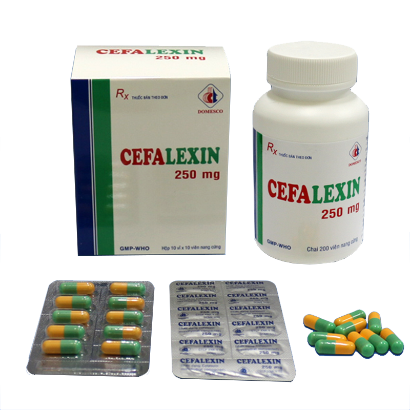 Cefalexin - Liều dùng & Cách dùng thuốc an toàn 2