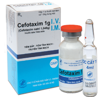 Cefotaxim - Thông tin về liều dùng & Cách dùng thuốc an toàn 1