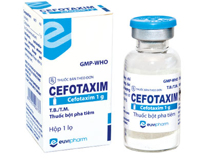 Cefotaxim - Thông tin về liều dùng & Cách dùng thuốc an toàn 2