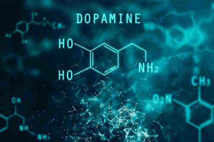 dopamine-la-gi-2