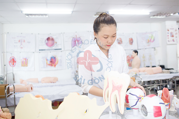 Trường Cao đẳng Y Dược Sài Gòn đào tạo khối ngành Y Dược theo mô hình 
