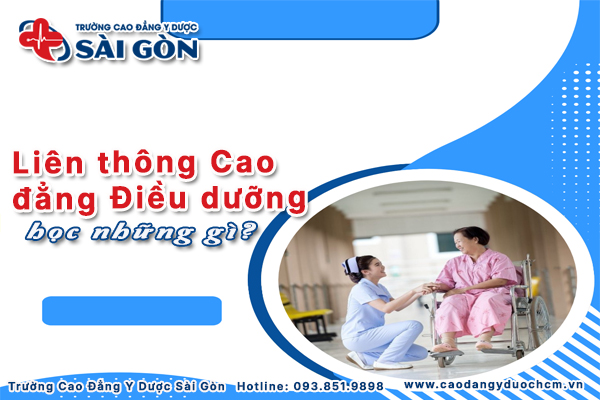 li&ecirc;n th&ocirc;ng cao đẳng học những g&igrave;