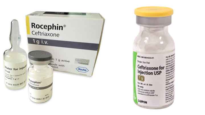 thuoc-rocephin-1