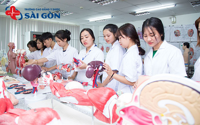 c&aacute;c trường x&eacute;t học bạ ng&agrave;nh điều dưỡng