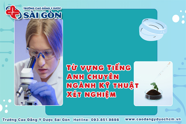 từ vựng tiếng anh chuy&ecirc;n ng&agrave;nh x&eacute;t nghiệm