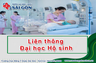 lien-thong-dai-hoc-ho-sinh
