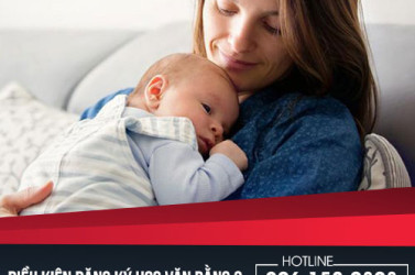 van-bang-2-cao-dang-ho-sinh