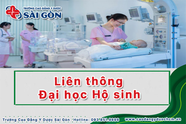 lien-thong-dai-hoc-ho-sinh