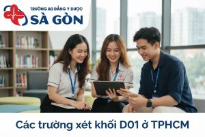 Tìm hiểu các trường xét khối D01 ở TPHCM