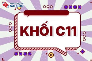 Khối C11 gồm những môn nào? Lưu ý khi chọn trường?
