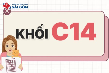 Khối C14 gồm những ngành nào? Danh sách trường xét tuyển?