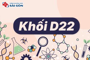 Khối D22 gồm những ngành nào? Lưu ý khi chọn trường?