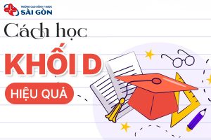 Cách học khối D hiệu quả giúp nâng cao điểm số